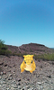 photo thumbnail #3