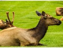 photo thumbnail #13
