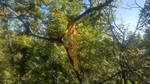 photo thumbnail #7