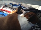 photo thumbnail #1