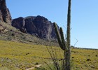 photo thumbnail #9