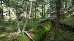 photo thumbnail #4