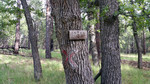 photo thumbnail #12