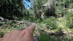 photo thumbnail #2