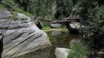 photo thumbnail #10