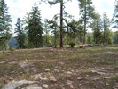 photo thumbnail #8