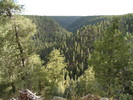 photo thumbnail #9