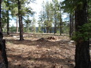 photo thumbnail #10