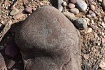 photo thumbnail #9