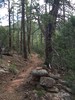 photo thumbnail #8