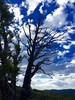 photo thumbnail #14