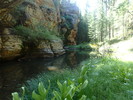 photo thumbnail #8
