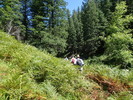 photo thumbnail #10