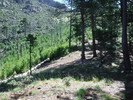 photo thumbnail #7