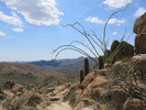 photo thumbnail #7
