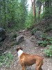 photo thumbnail #5