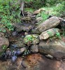 photo thumbnail #12