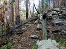 photo thumbnail #7