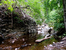 photo thumbnail #11