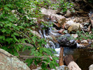 photo thumbnail #12