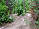 photo thumbnail #13