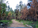 photo thumbnail #15