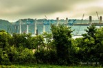 photo thumbnail #8