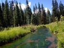 photo thumbnail #5