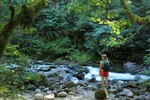 photo thumbnail #2