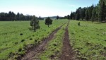photo thumbnail #13
