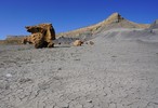 photo thumbnail #8