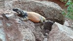 photo thumbnail #1