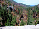 photo thumbnail #6