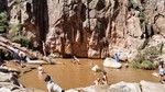 photo thumbnail #12