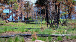 photo thumbnail #11
