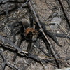 photo thumbnail #7
