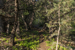 photo thumbnail #4
