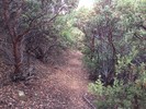 photo thumbnail #1