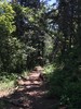 photo thumbnail #15