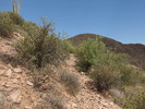 photo thumbnail #12