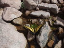 photo thumbnail #11