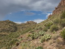 photo thumbnail #6