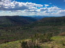 photo thumbnail #15