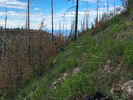 photo thumbnail #9