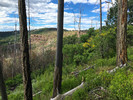 photo thumbnail #7