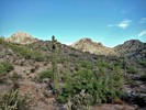 photo thumbnail #7