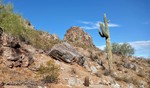 photo thumbnail #10