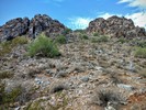 photo thumbnail #15