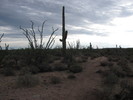 photo thumbnail #5