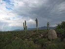photo thumbnail #6